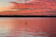 Key Largo Pontoon Boat Tour at Sunset thumbnail 2