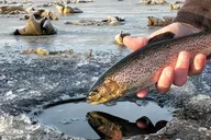 Anchorage Ice Fishing Trip thumbnail 4