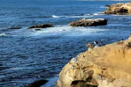 San Diego City and Beach Tour thumbnail 6