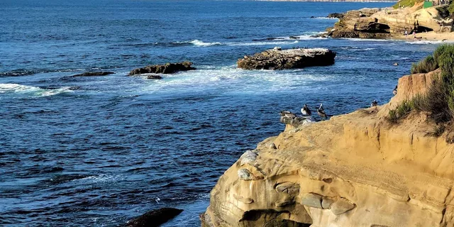 San Diego City and Beach Tour - Image 6
