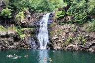 Oahu Circle Tour Waimea Waterfall 6.5 hr thumbnail 1
