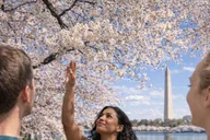 Washington, DC Cherry Blossom Cart Tour 2 hr thumbnail 2