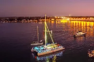 St. Augustine Wildlife and Lights Eco Tour thumbnail 2