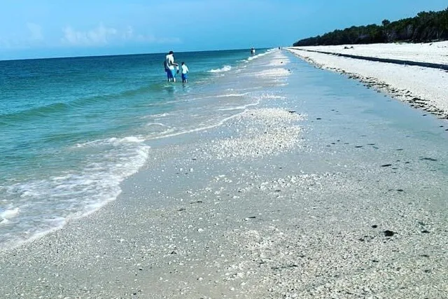 Naples Shelling and Beach Adventure 3 hr - Image 1