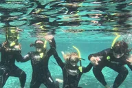 Crystal River Manatee Snorkel Tour thumbnail 4