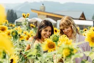 Hood River Valley Tour: Timberline, Orchards & Waterfalls thumbnail 4