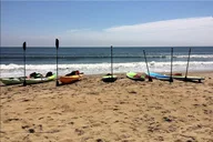 Virginia Beach Dolphin Kayak Eco-Tour thumbnail 4