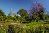 Phoenix Private Tour thumbnail 2