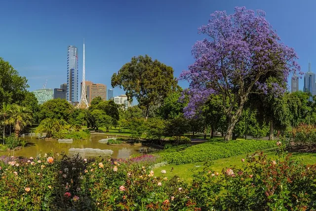 Phoenix Private Tour - Image 2