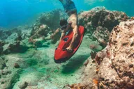 Fort Lauderdale Seabob Snorkel Tour thumbnail 1