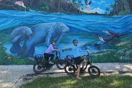 Crystal River E-Bike Tour thumbnail 4