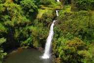 Maui Road to Hana Tour with Black Sand Beach thumbnail 2