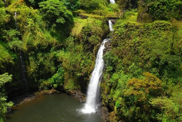 Maui Road to Hana Tour with Black Sand Beach - Image 2