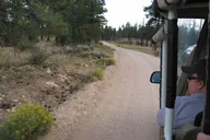 Tusayan Grand Canyon Safari Back-Road Tour 3 hr thumbnail 6