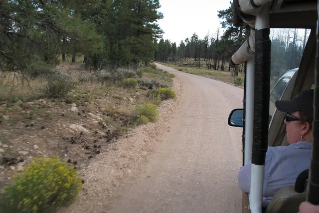 Tusayan Grand Canyon Safari Back-Road Tour 3 hr - Image 6