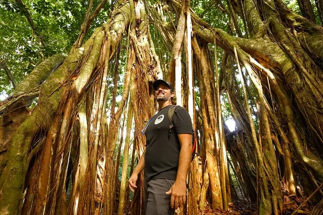 Kapalua Ridgeline Hike - Image 5