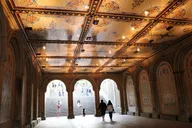 New York City Central Park Pedicab Tour thumbnail 5