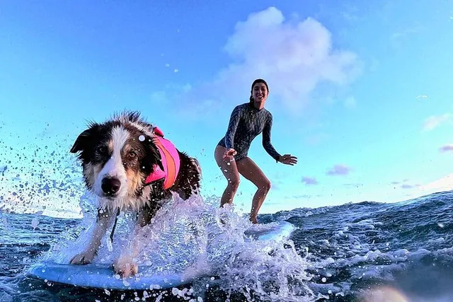 Honolulu Surf Lesson with Videos and Photos 1 hr - Image 2
