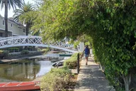 Venice Beach Walking Tour thumbnail 6