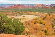 Sedona Oak Creek Canyon Jeep Tour 1.5 hr thumbnail 2