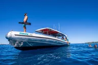Hawaii Manta Ray Snorkel Experience 2 hr thumbnail 6