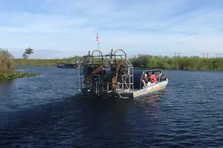 Fort Lauderdale Everglades Airboat Tour with Transport