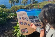 Laguna Beach and Balboa Pier Private Tour thumbnail 6
