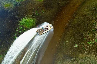 Miami Everglades Airboat Tour with Pickup 1 hr