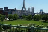 Boston Hop-On Hop-Off Trolley Tour thumbnail 4