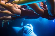 Kailua-Kona Manta Ray Night Snorkel Tour thumbnail 1
