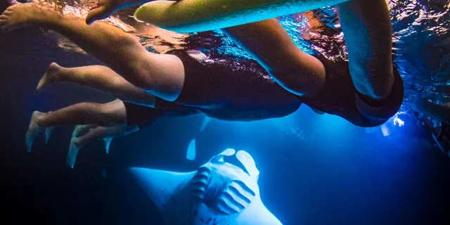 Kailua-Kona Manta Ray Night Snorkel Tour - Image 1