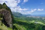 Oahu North Shore Tour with Waimea Waterfall thumbnail 5