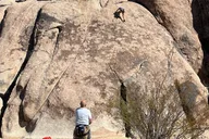 Joshua Tree National Park Sightseeing Tour thumbnail 2