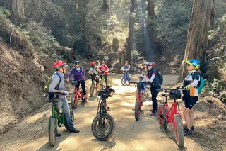 Big Sur eBike Tour on Old Coast Road