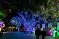 Phoenix ZooLights Entry Ticket thumbnail 2