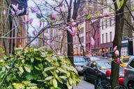 New York Self-Guided Walking Tour of Gramercy and Flatiron thumbnail 4