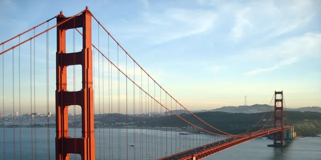 San Francisco Muir Woods and Hop-On Hop-Off Tour - Image 5