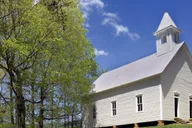 Pigeon Forge Cades Cove Tour in a Panorama Van thumbnail 4