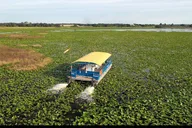 Florida Everglades Wildlife Boat Tour 90 Min thumbnail 1