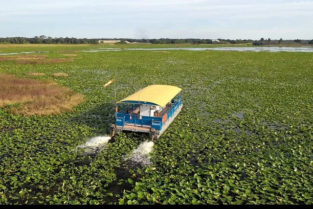 Florida Everglades Wildlife Boat Tour 90 Min - Image 1