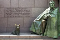 Washington Arlington Cemetery and Memorials Tour thumbnail 6