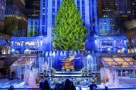 New York City Christmas Lights Carriage Ride thumbnail 1