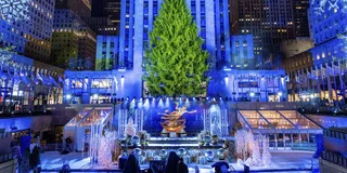 New York City Christmas Lights Carriage Ride