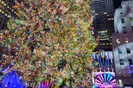 New York City Holiday Lights Bus Tour thumbnail 1
