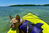 Key West Kayak Eco Tour thumbnail 5