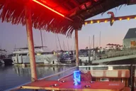 San Diego Tiki Jazz Cruise at Night thumbnail 5