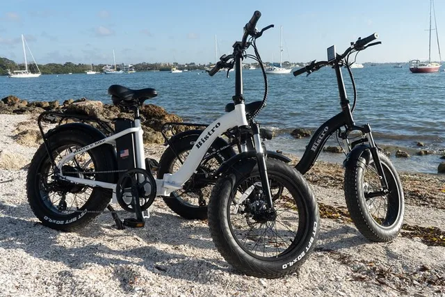 Sarasota E-Bike Rental Adventure - Image 1