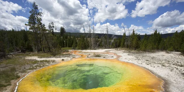 Yellowstone National Park 2-Day Tour - Image 3