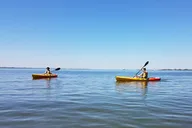 Fort Myers Kayak Sunset Tour in Pelican Bay thumbnail 2