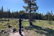 Utah Mountain Backcountry Day Trip thumbnail 6